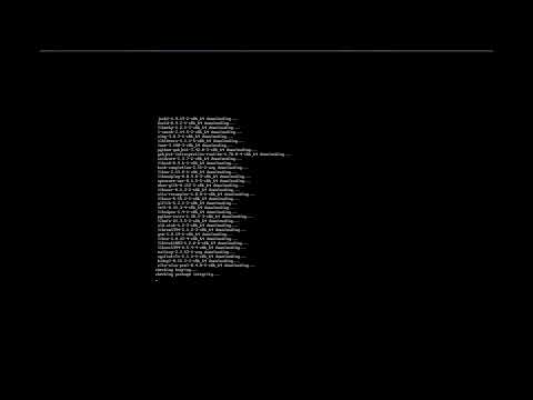 ArcoLinux : 2553 AA - Installing Dusk with AA - st and dmenu present