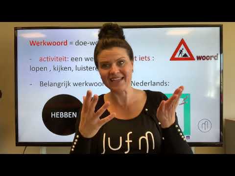 NT2 20 werkwoord HEBBEN! Belangrijk! Ik heb - u heeft, wat zijn de goede vormen #learndutch