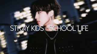 [SUB ESP] Stray Kids - School Life 'Re-subido'