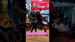Download lagu Kebo giro ngamuk #taritopengwonosobo #shortvideo #jaranan #wayangkulit #musik mp3