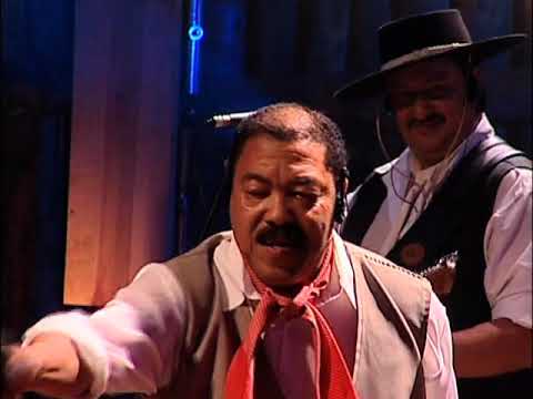 DVD 35 Anos - História, Música e Tradição - Bateu Saudade - Chorar Por Amor Nunca Mais