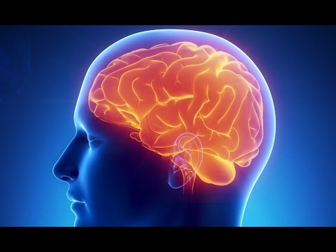 Wenn das Gehirn überfordert ist - Doku 2016 (NEU in HD)