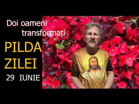 Pilda zilei de 29 Iunie - slujitor Dani