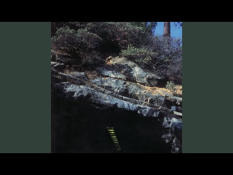 Palms Trees In the Fecking Bahamas