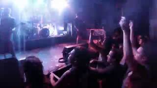 ANIMAL - Gritemos para no olvidar (vivo)