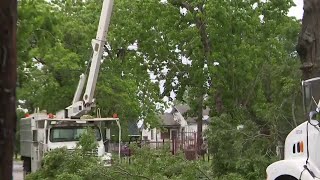 Tree damages Houston home; homeowner said city did nothing about it