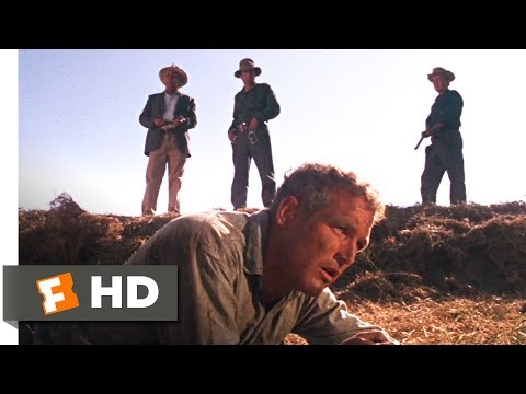 Cool Hand Luke (1967) - Failure To Communicate Scene (7/8) | Movieclips Video