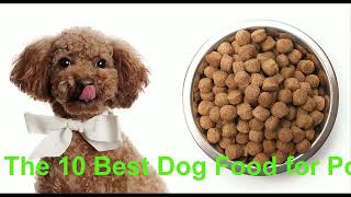 The 10 Best Dog Food for Poodles - Petdii.com