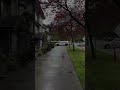 Touchwood Babbu Maan Punjabi Status Song Song Music Singer Latestpunjabsong