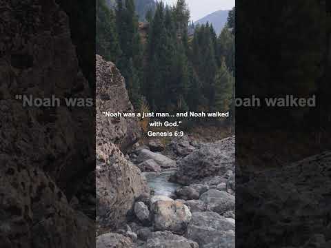 Genesis 6:9 - Walked with God thumbnail