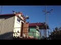 Один день из жизни голубей 