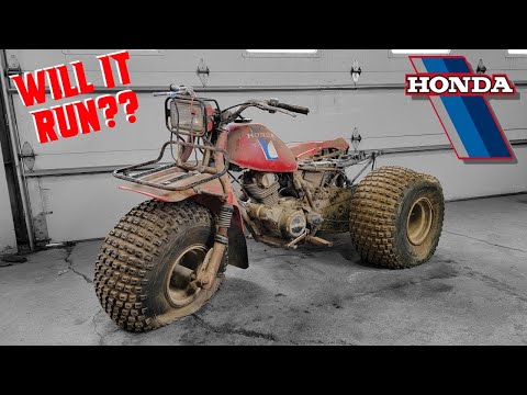 ABANDONED 3 Wheeler REVIVAL! Will This Old Honda Still Ride?