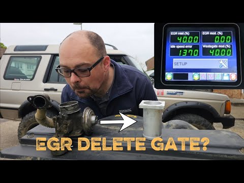 EGR DELETE.... Worth it? Live data REVEALED