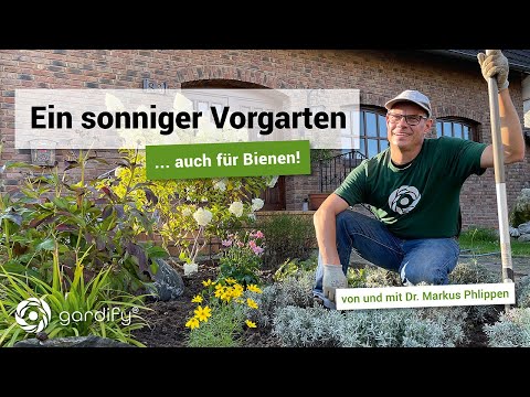 , title : 'Ein sonniger Vorgarten... inklusive attraktiven Pflanzen für Bienen | gardify Tipps'