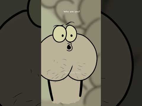 POV:you think its a fart, but then🥲(4k memes) #shorts