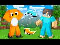 We Swapped Colors In Minecraft