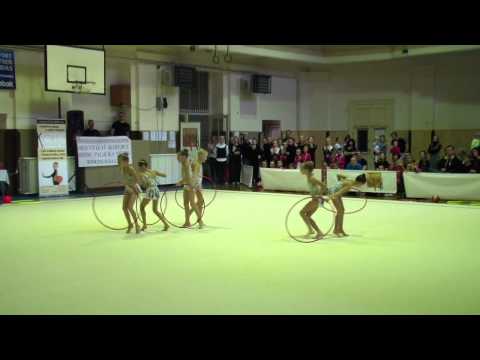 "Swans" /2003-2004/ Golden Prague Cup 2013 /23.11.2013/