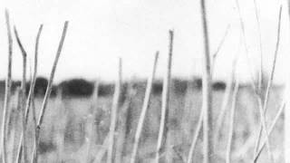 Recondite | Sultry [Acid Test 2012]