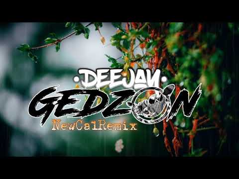 SEAN RII x GEDZON - CHU REGGAE REMIX 2K21 [Ddks 4 SPLIIF]