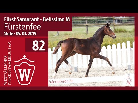 82 Fürstenfee Stute v. Fürst Samarant  - Belissimo M
