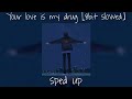 Your Love Is My Drug 8bit Slowed Sped Up