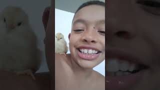 4 COISAS SOBRE OS RATOS TIWSTERDS)A ROTINA MATINAL DO JERRY