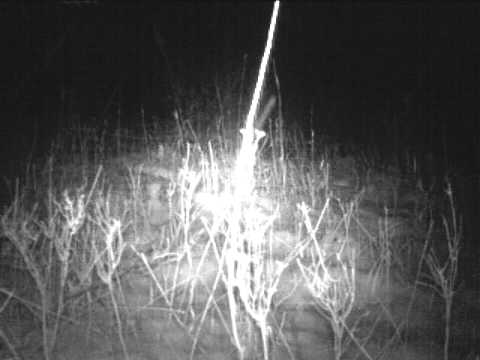 2012 01 14 002 2012 01 14 001