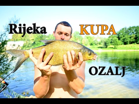Obiteljsko pecanje na Kupi feeder tehnikom 🎣🐟*DEVERIKA, ŠNAJDER, PODUST* Ozalj Kupalište