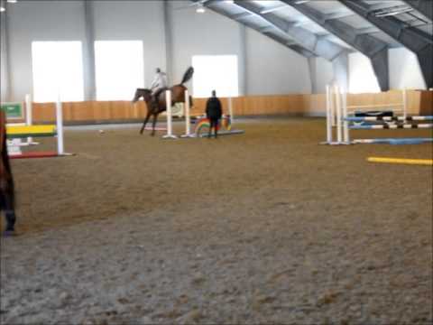 hesteprøving på stall gullik