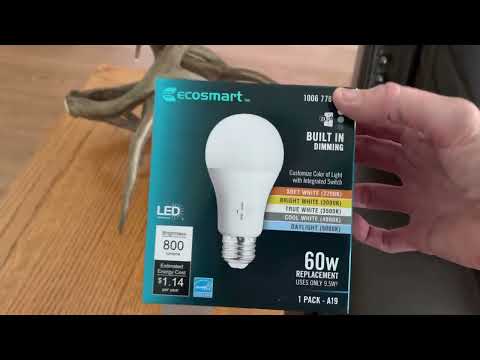 EcoSmart Light Bulb Review