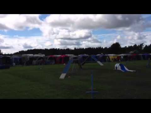 Line og Chiko debuterer i agility