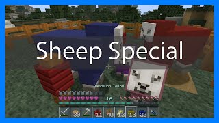 All About the Sheep - Minecraft Special
