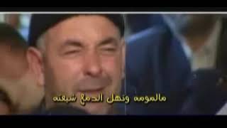 ضي الكرم