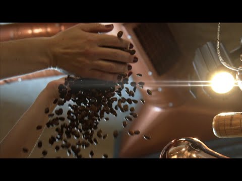 Indigo Motion video.