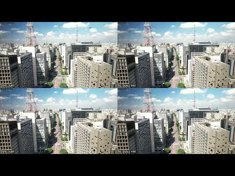 Dense Pedestrian Crowd