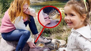 FEEDiNG WiLD ANiMALS at the CABiN!! a Family Day in the Mountains! Baby Moose, Adley, Niko & Navey