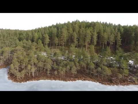 X-Panda - Esivanemate Pärand