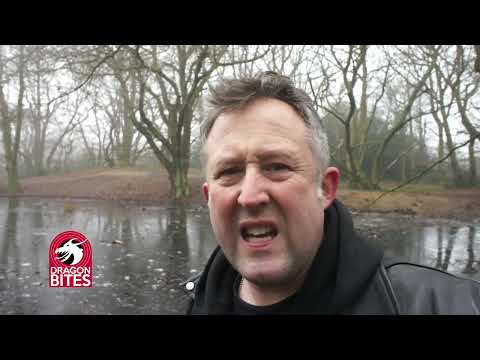 The Dragon Detective - DRAGON BITE #7 What lives under the ice?