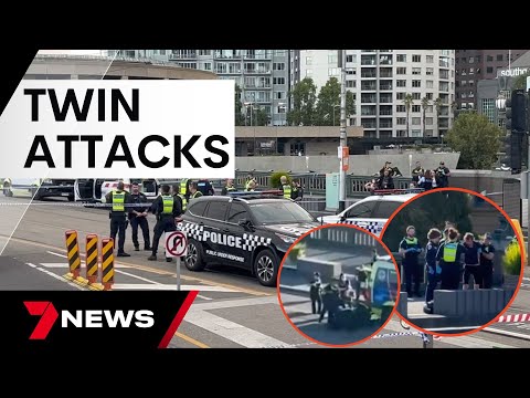 A PSO opens fire at a city landmark, ending a two hour crime spree | 7 News Australia