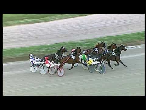 Trotto 31/12/2020 - 5ª corsa