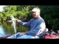 Everglades kayak fishing for snook 