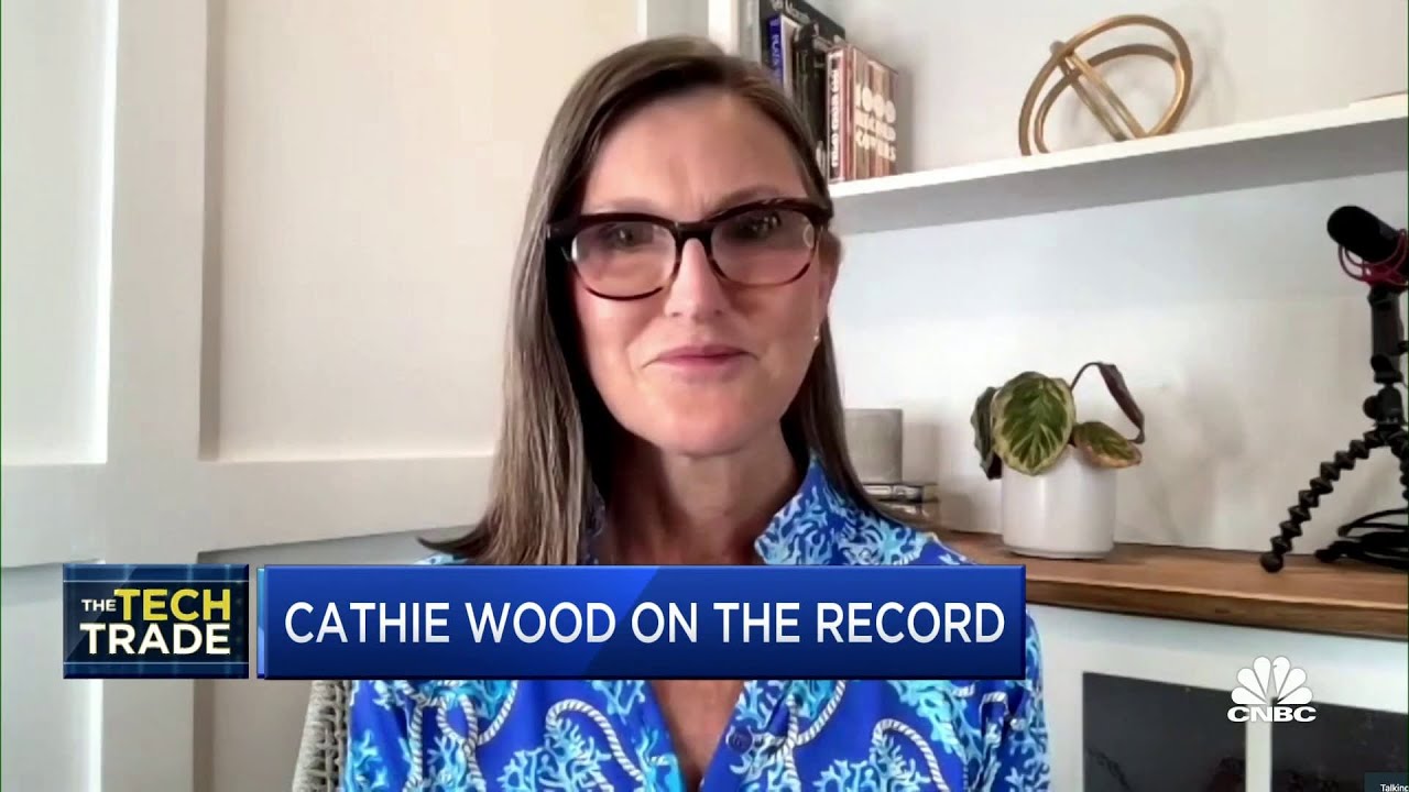 Cathie Wood: We think we're in an inventory-led recession