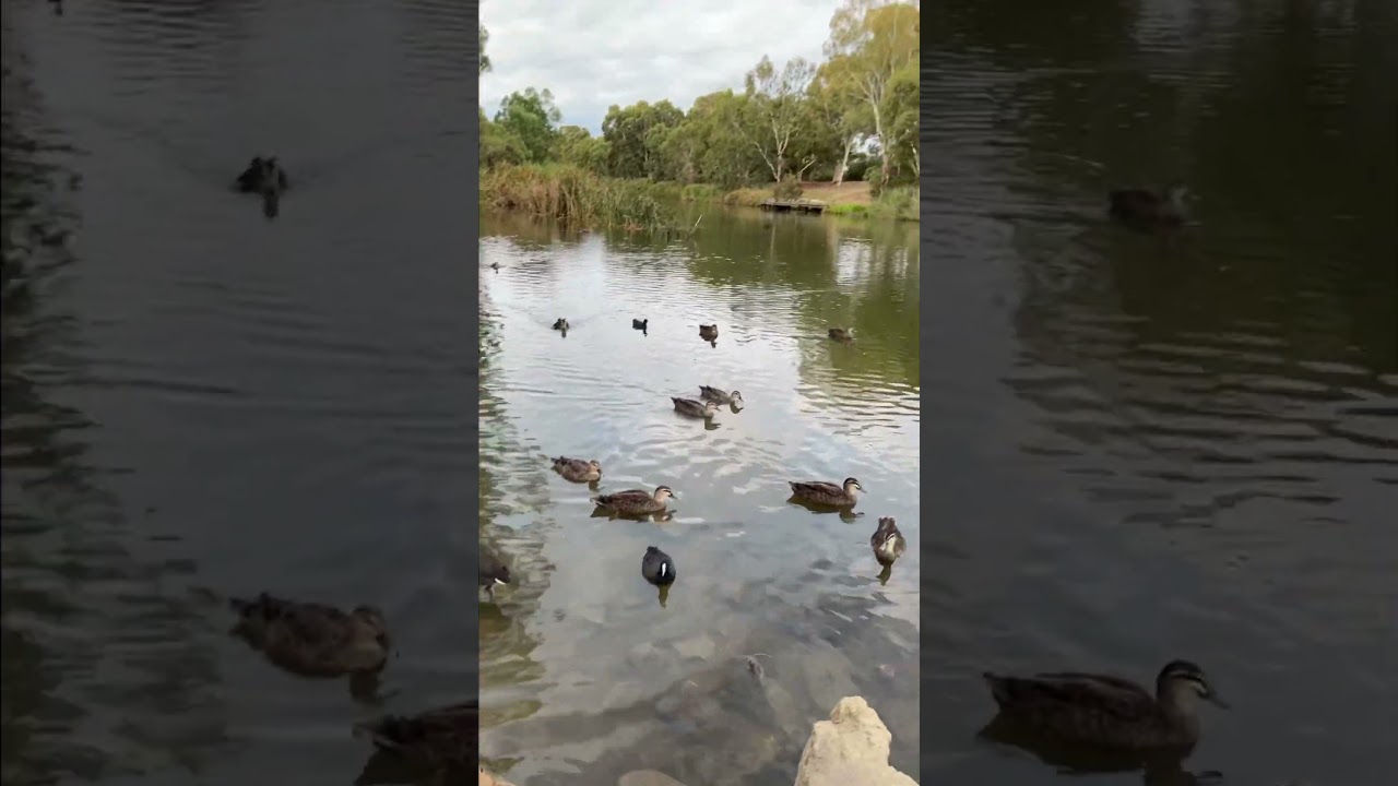 YouTube Short thumbnail