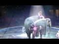 2328 Ringling Gold Eles 9 26 10