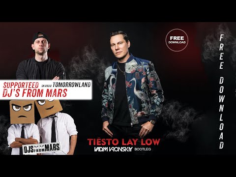 Tiesto - Lay Low (Vadim Vronskiy Bootleg)[FREE DOWNLOAD]