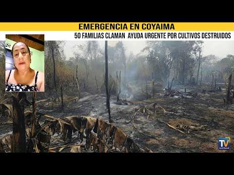 Emergencia en Coyaima: 50 familias claman ayuda urgente por cultivos destruidos