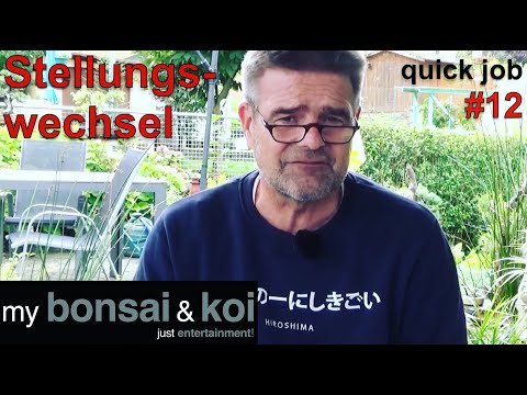 Bonsai 2022-48 - quick job #12 - Stellungswechsel - meine Maßnahmen gegen den Regen
