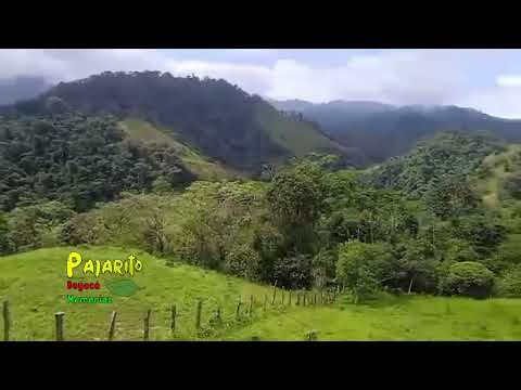 Vereda Rincón del Vijua - Recetor Casanare (Agosto 8/2026)
