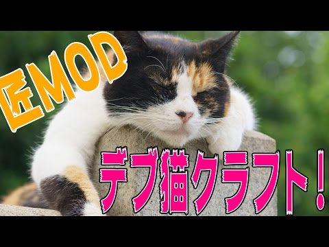 マインクラフト - 匠MODがカオスすぎて大爆発!! でぶ猫クラフト 実況プレイ - Part23