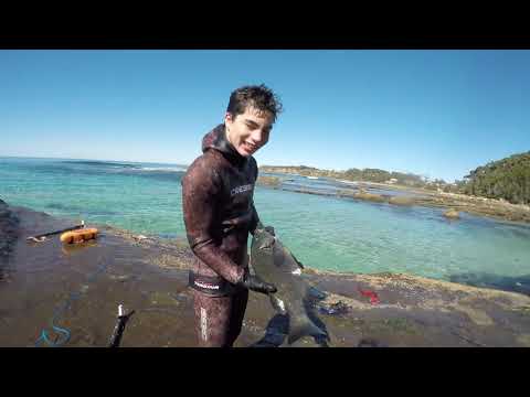Spearfishing Winter - Catch and Cook + Swimming with huge stingrays || Bream, Drummer
